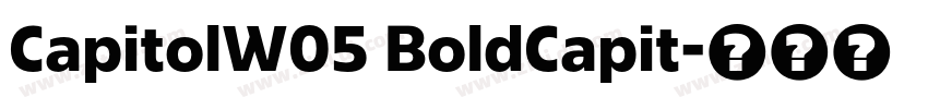CapitolW05 BoldCapit字体转换